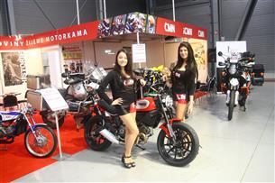 Výstavní střípky