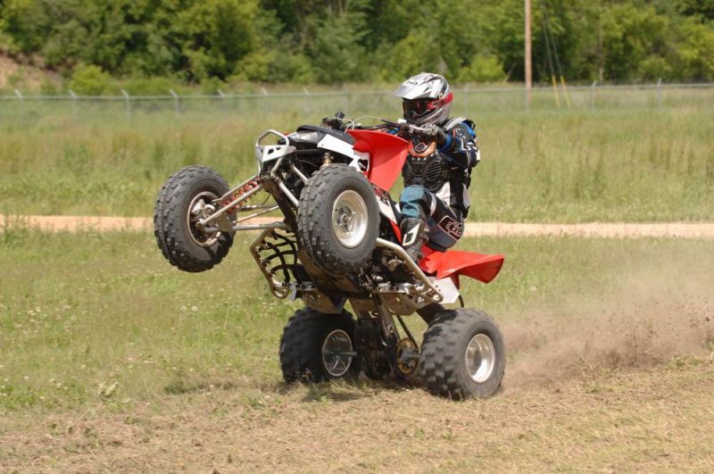 Thumbnail image for ~/UserFiles/Galerie/2008-10-07-WDP_0721--1000.JPG